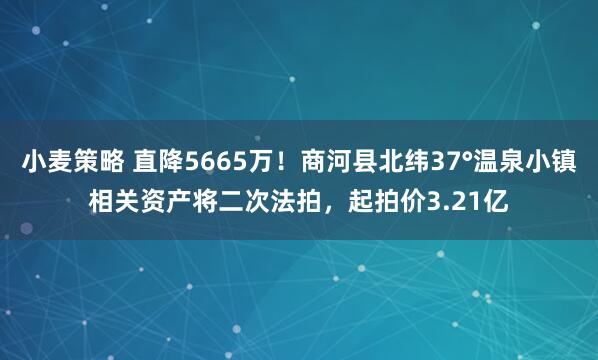 小麦策略 直降5665万！商河县北纬37°温泉小镇相关资产将二次法拍，起拍价3.21亿