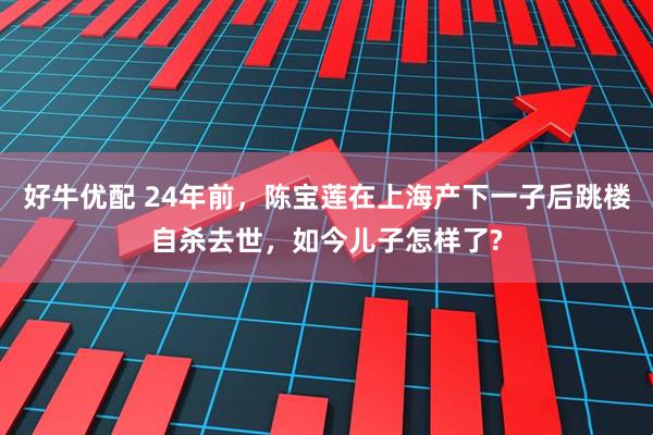 好牛优配 24年前，陈宝莲在上海产下一子后跳楼自杀去世，如今儿子怎样了?